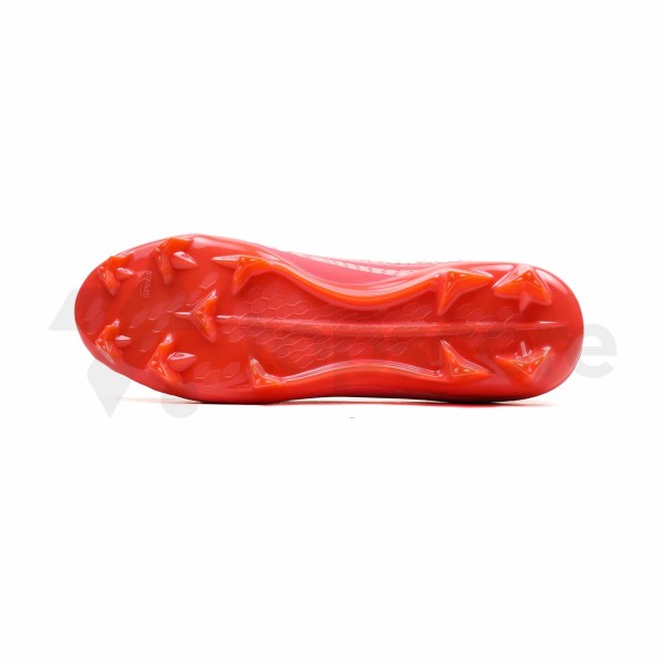 specs_elevation_two_fg_fiery_rose_dessert_flower_431_2.jpg