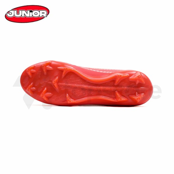 specs_elevation_two_jr_fg_fiery_rose_dessert_flower_218_2.jpg