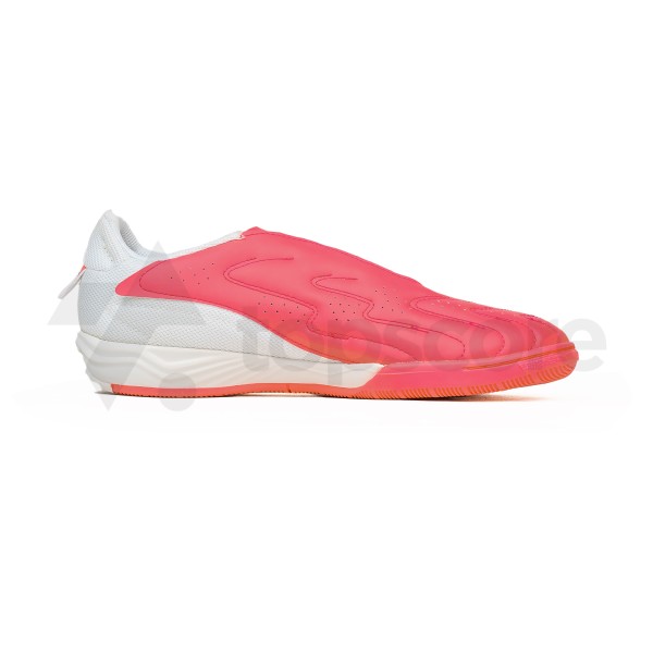 SPECS METASALA VENNEL DIVA PINK COCONUT MILK HAWAIAN SURF